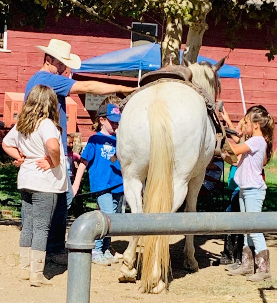 Children learn about a horse from a handler in a cowboy hat at Ocean View Stables