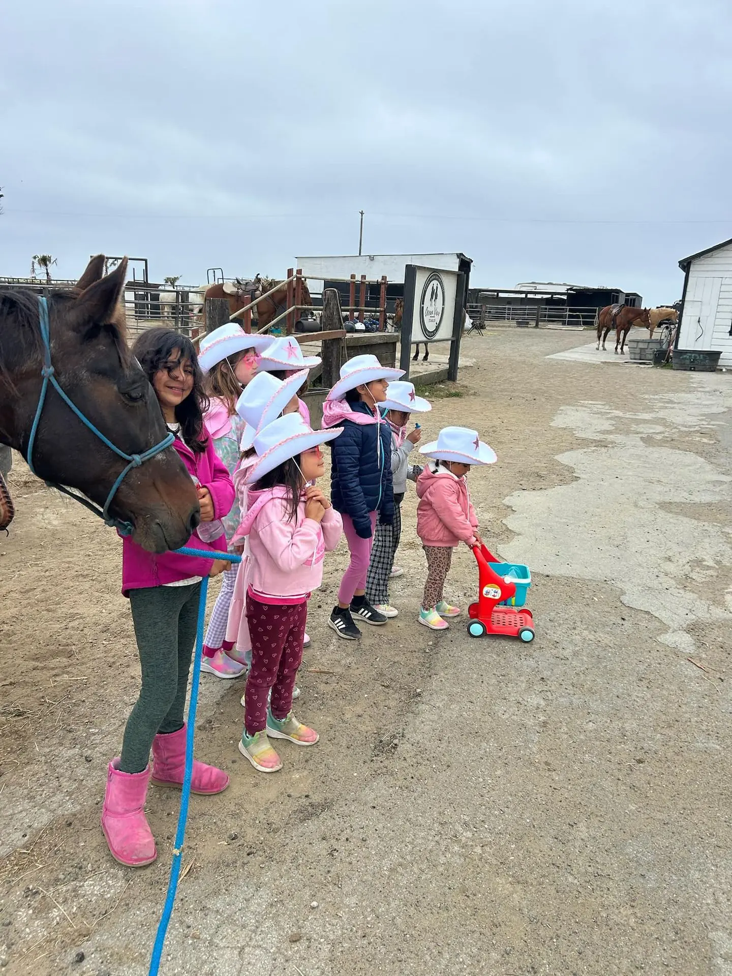 Children in cowboy hats meet a horse at Ocean View Stables