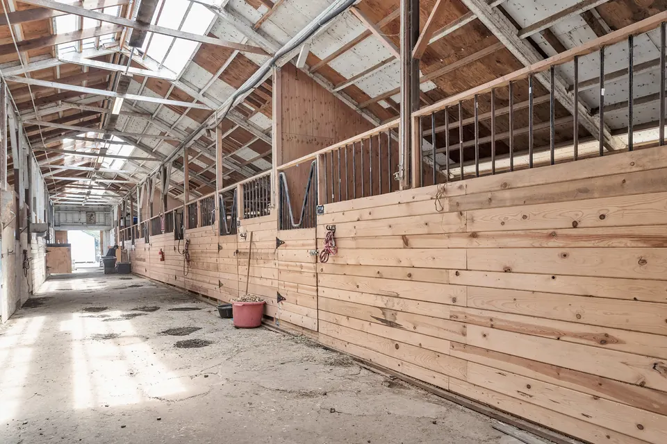 The main barn's stall aisle, with light coming through the roof panels