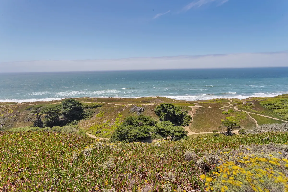 The bluff above the Pacific, with coastal scrub, cypress and footpaths running down toward the beach