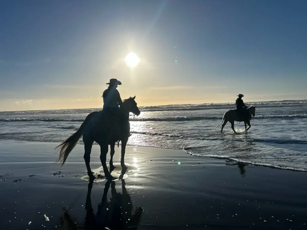 Training Fee Only - Colt Starting, 30 Days (horse already boarded)