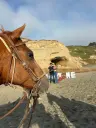Photography Add-On: Beach Trail Access