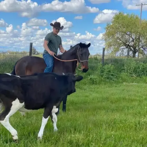 Lesson Club | Bronze | 4 days/Month Private